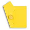 Acid Free Yellow Tissue Paper (MG)