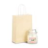 Premium Italian Ivory Paper Carrier Bags with Twisted Handles