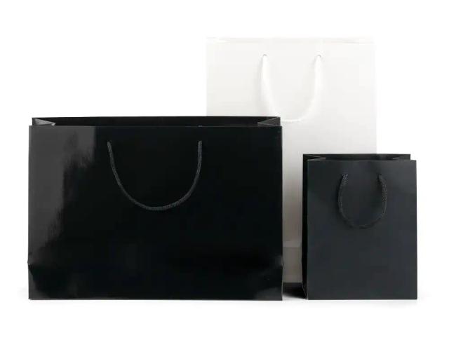 Boutique Laminated Paper Bags