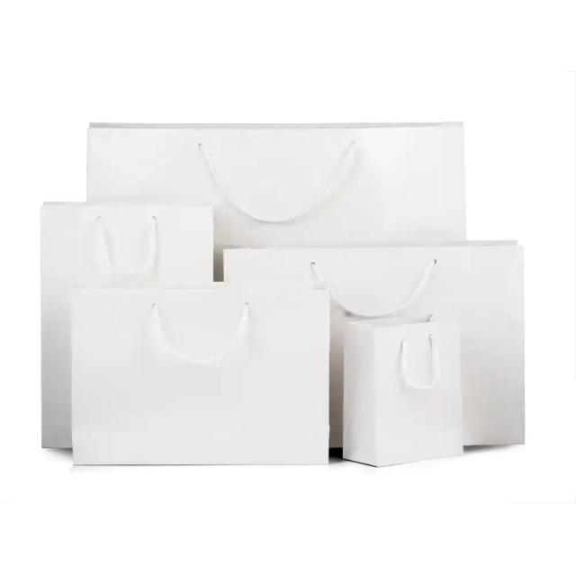 White Gloss Paper Boutique Bags