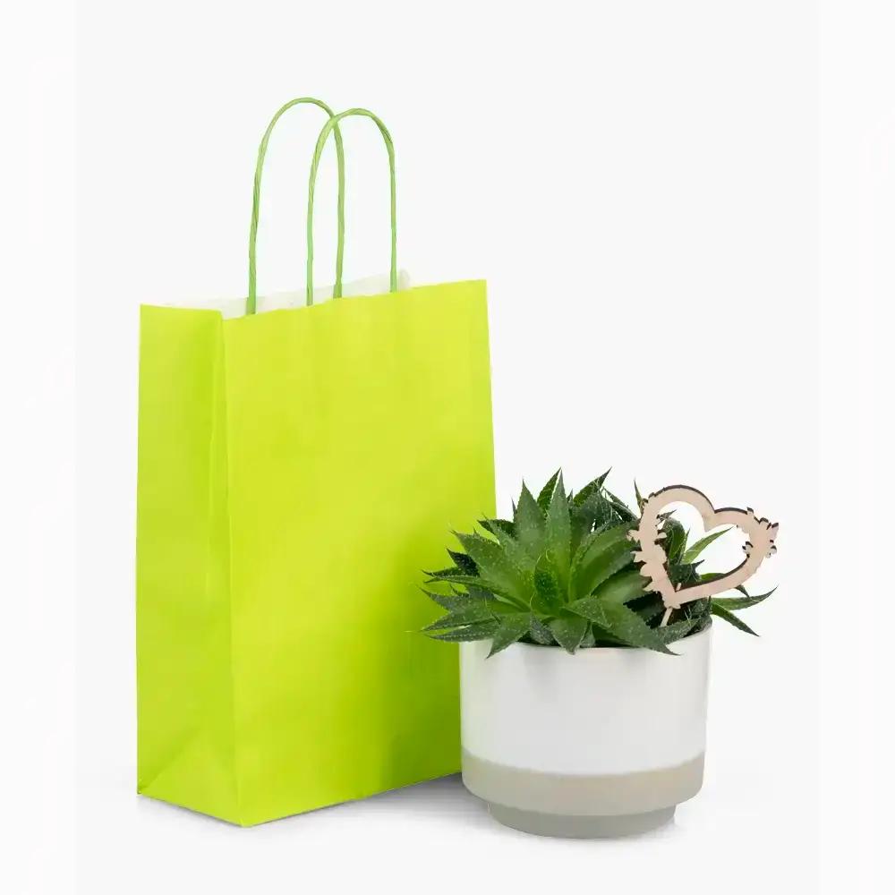 Premium Italian Lime Green Paper Carrier Bags with Twisted Handles